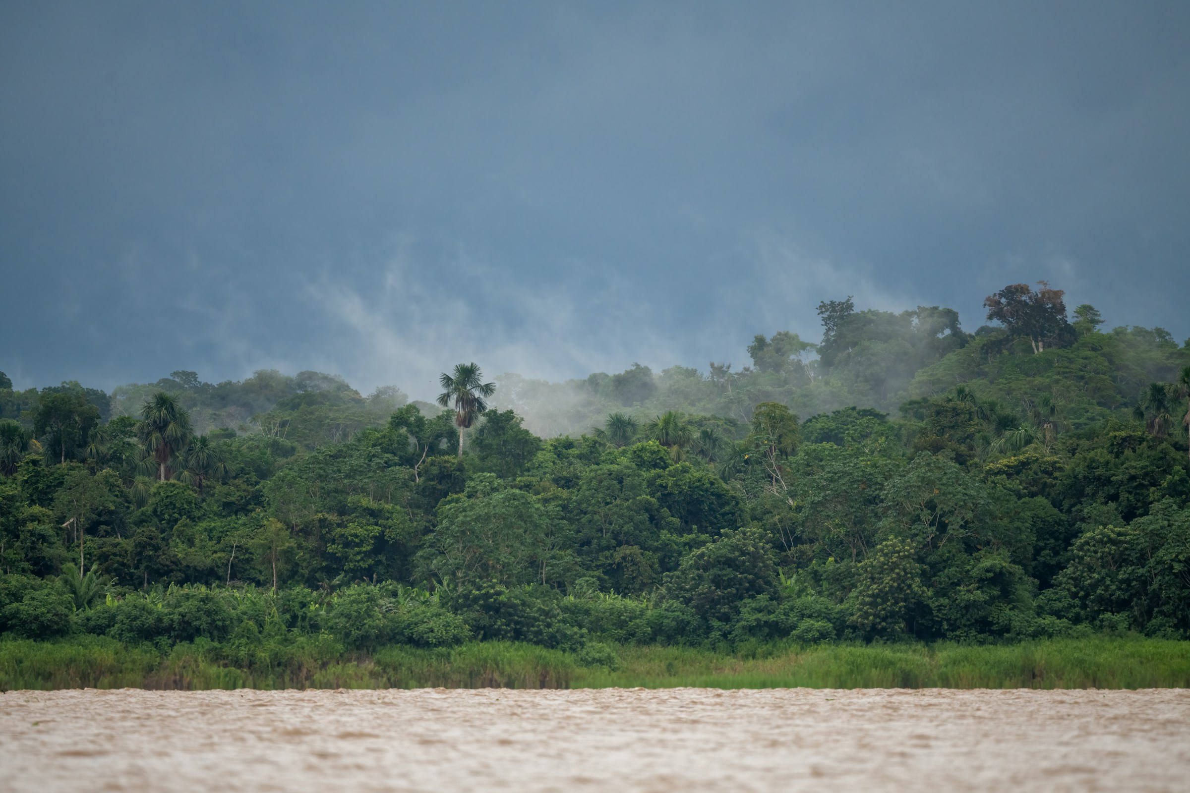 Amazônia
