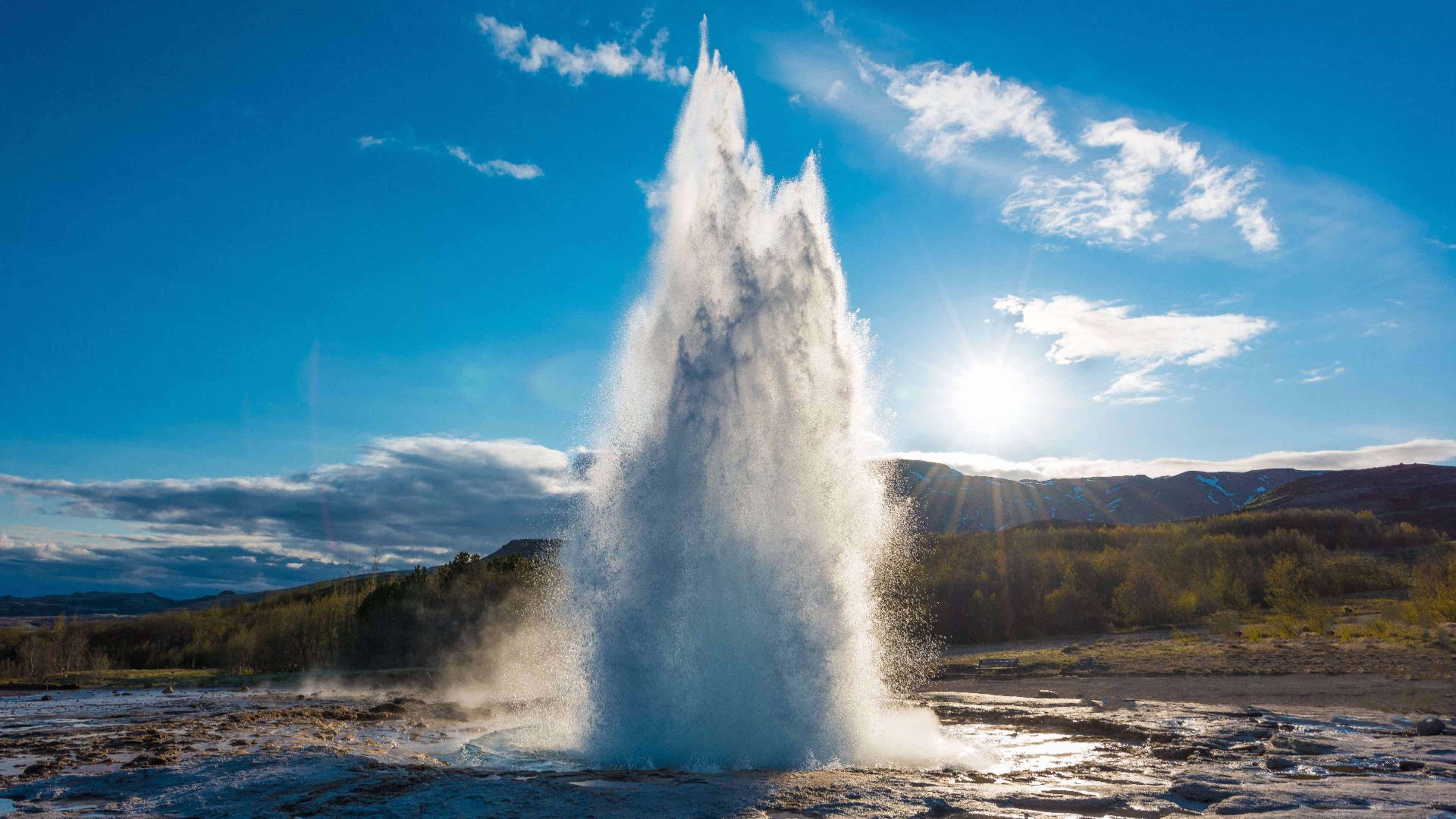 Friðheimar, Gullfoss & Geysir
