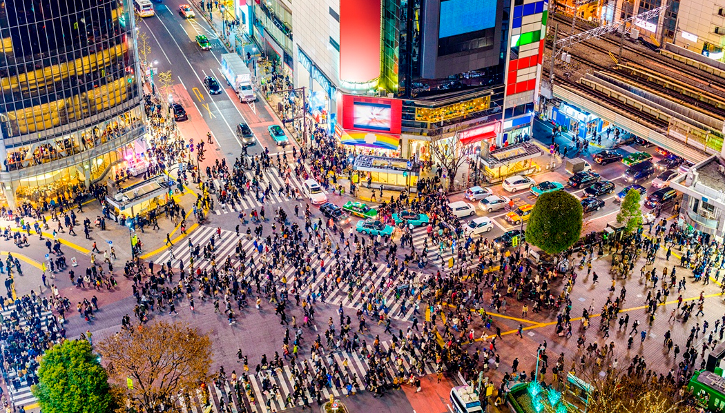 Harajuku, Meiji, Shibuya & Shinjuku
